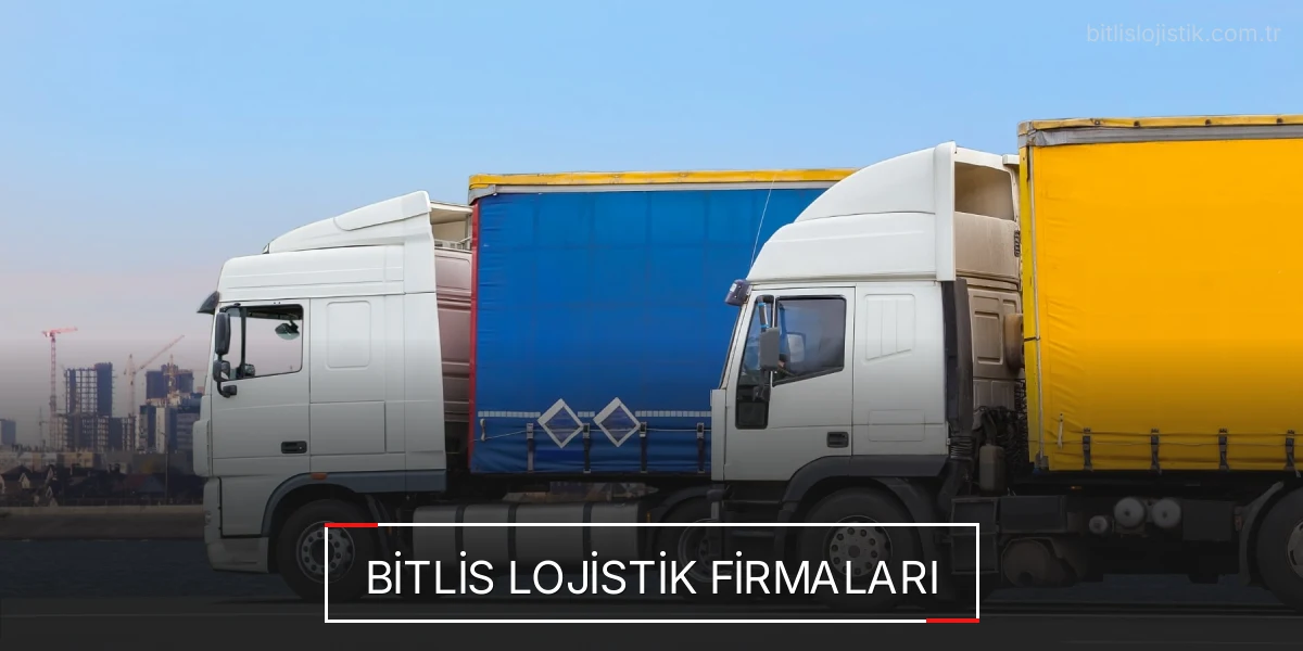 İstanbul Bitlis Lojistik Hızlı Teslimat ve Güvenli Depolama