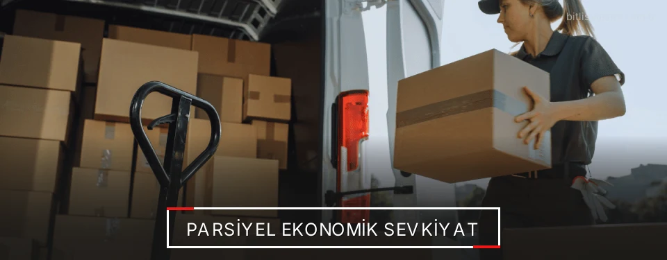 Bitlis Parsiyel Yük Lojistik Firmaları